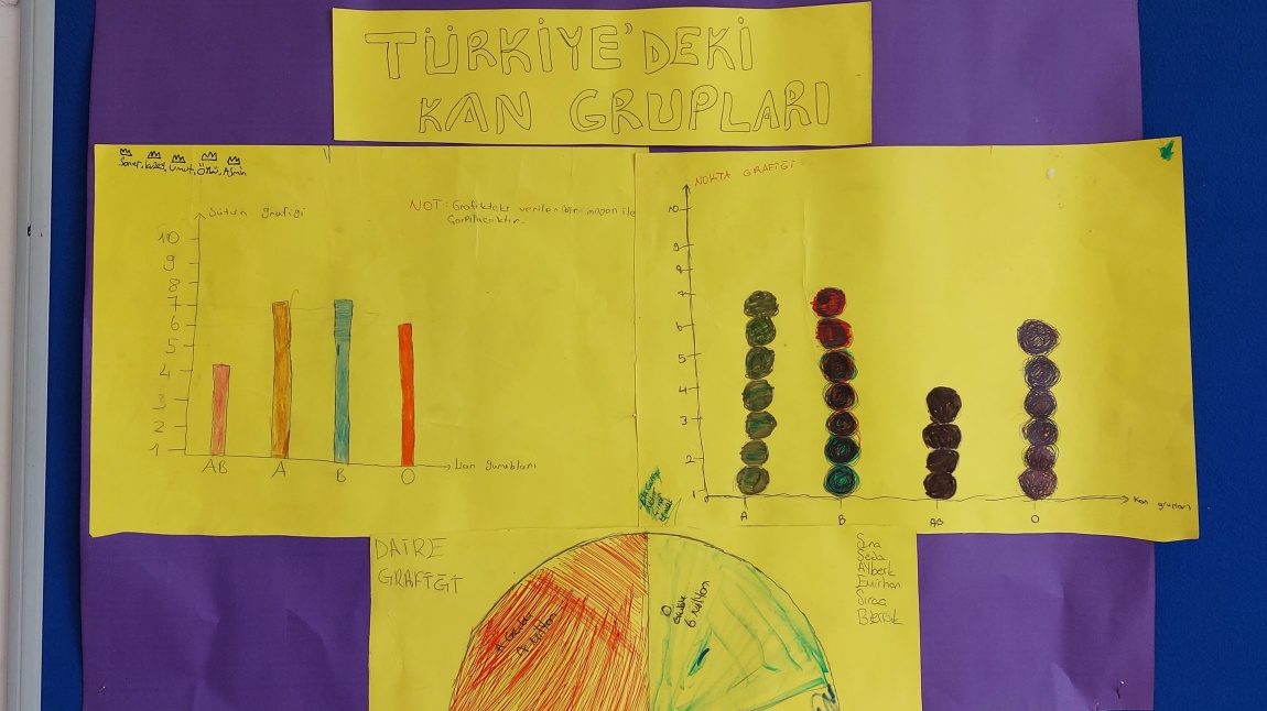 5-A Sınıfı Grafik Etkinliği